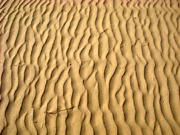 A Sunny Day In Venus Bay