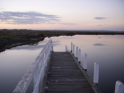 Beach Number 5 at Venus Bay